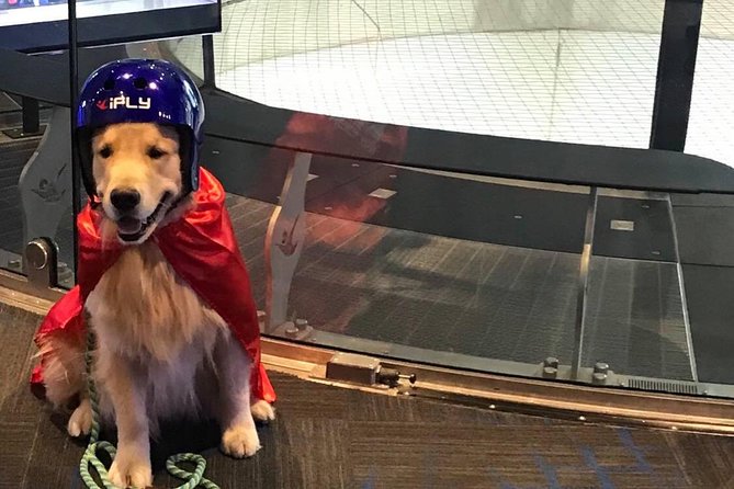 Oceanside Indoor Skydiving Experience with 2 Flights & Personalized Certificate - Who this is best for (and who should think twice)